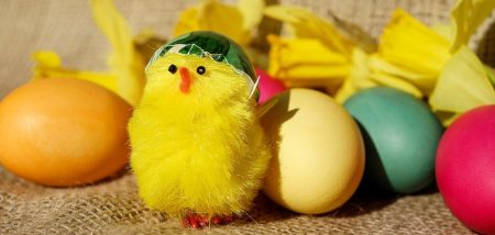 paques poussins oeufs decor photo Couleur via Pixabay et INFOSuroit