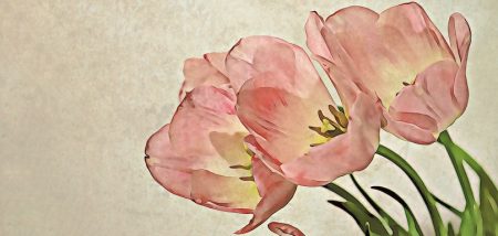 Fleurs tulipes printemps peinture photo Vargazs via Pixabay et INFOSuroit