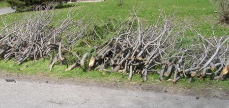 collecte-branches-chateauguay-photo-VCinfosuroit