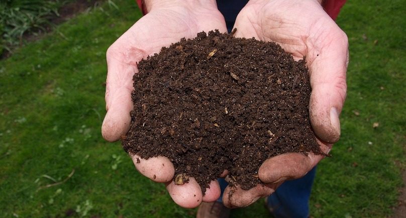 fertilisant compost terre photo JokeVanderLeij8 via Pixabay et INFOSuroit