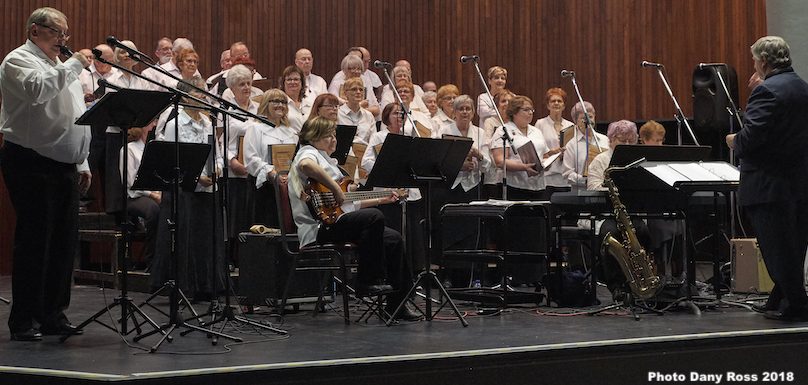 spectacle 2018 chorale Les_Amis de la chanson photo Dany_Ross via Amis