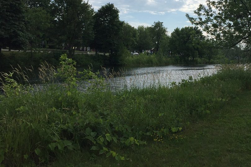 Berges Vieux Canal Beauharnois photo courtoisie Ville Valleyfield