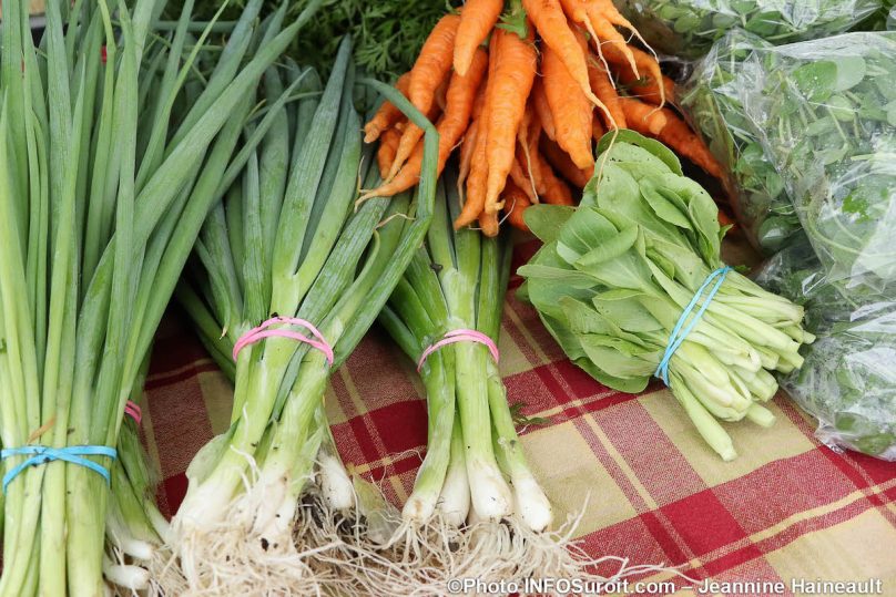 echalottes carottes pousses Marche Fermier 2019 photo JH INFOSuroit