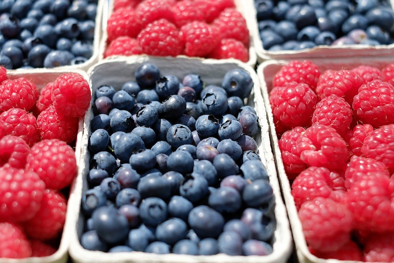 petits fruits framboises et bleuets photo 1195798 via Pixabay et INFOSuroit