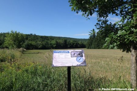 sentiers-de-l_Escapade-mont-Rigaud-panneau-Urubu-a-tete-rouge-photo-INFOSuroit