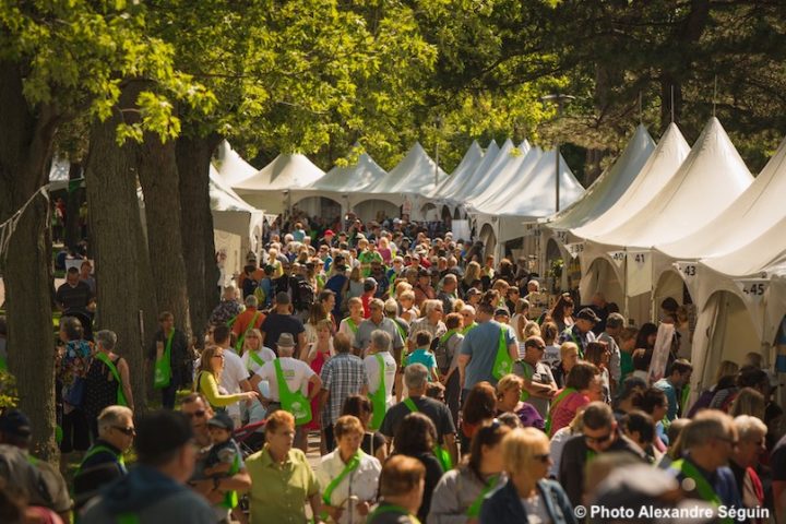 Ecomarche de l_ile a Chateauguay sur 3 jours en 2019 photo AlexandreSeguin via HSB