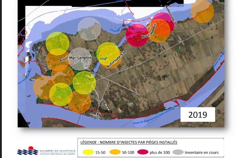 carte aout 2019 presence agrile du frene a Valleyfield visuel courtoisie