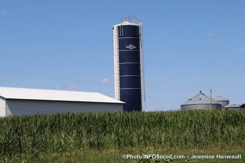 ferme Isabelle a Coteau-Lac grange silo et mais aout2019 photo JH INFOSuroit