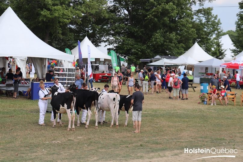 pique-nique 2019 Hosltein Quebec a la Ferme Nieuwenhof photo via Coop