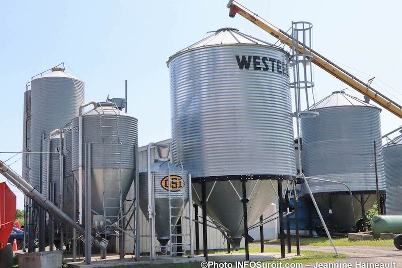 silos ferme Isabelle a Coteau-du-Lac aout2019 photo JH INFOSuroit