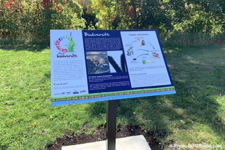 biodiversite riviere St-Charles Valleyfield panneau interpretation chaine alimentaire photo INFOSuroit