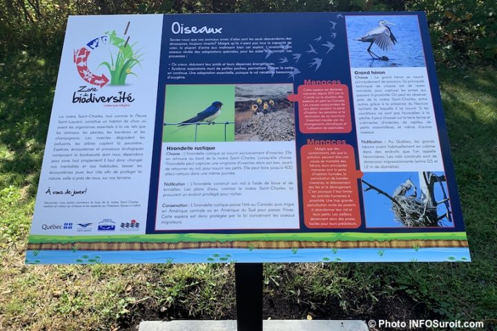 biodiversite riviere St-Charles Valleyfield panneau interpretation oiseaux photo INFOSuroit