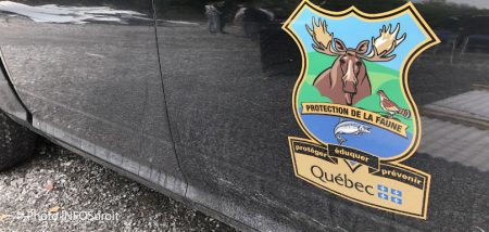 logo-protection-faune-photo-infosuroit
