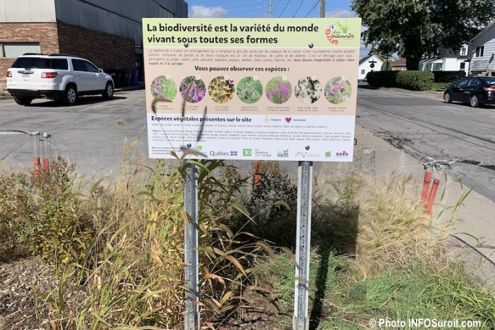 panneau biodiversite Place Viateur-Daignault a Valleyfield photo INFOSuroit