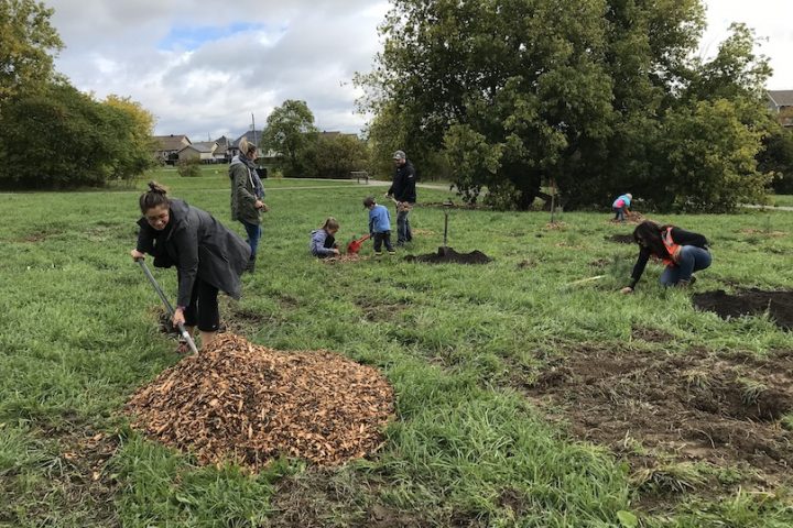 Plantation citoyenne avec Crivert a Valleyfield en 2018 Parc_du_Ruisseau photo courtoisie SdV