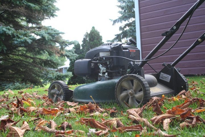 Residus verts feuilles mortes tondeuse photo MRC BHS