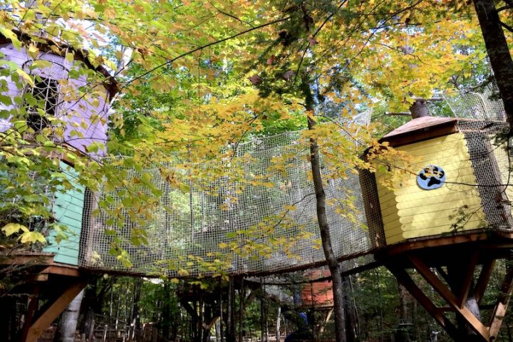 Village Arbre en ciel modules dans les arbres automne photo via Facebook