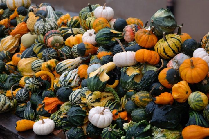 citrouilles courges potirons photo Hans via Pixabay et INFOSuroit