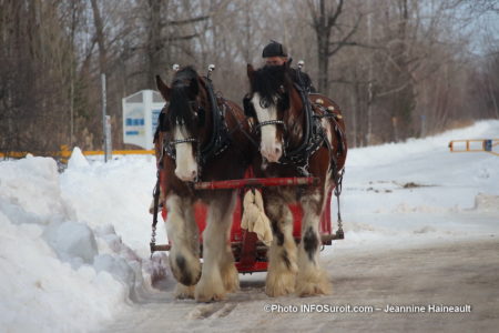 chevaux caleche carnaval hiver St-Stanislas-de-Kostka photo JHaineault INFOSuroit