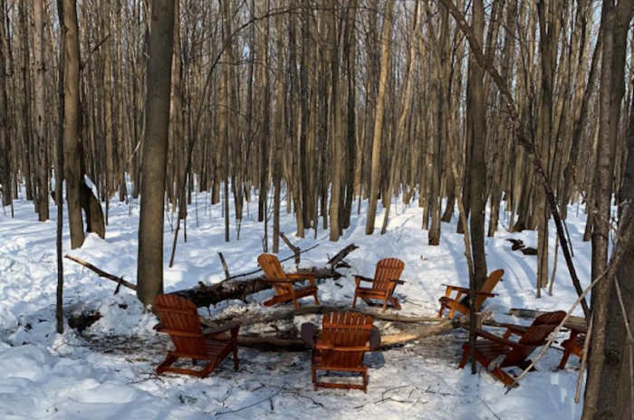 feu coupe d_arbres et vandalisme au Centre ecologique Fernand-Seguin a Chateauguay fev20 photo VC