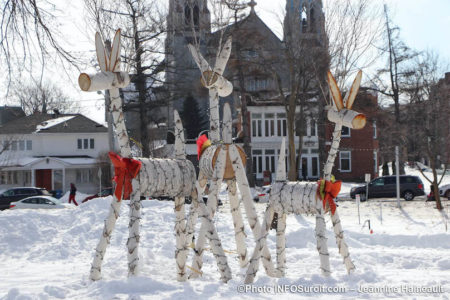 hiver-neige-decorations-bouleau-chevreuil-basilique-cathedrale-Valleyfield-photo-JH-INFOSuroit