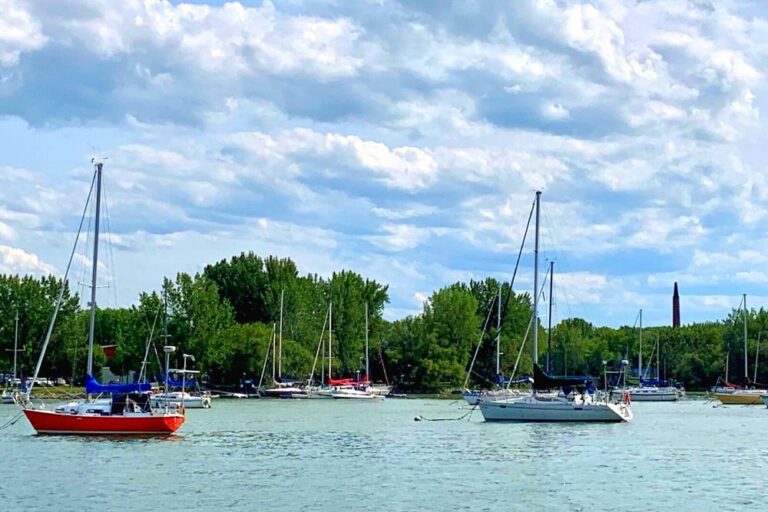 Un allerretour sur le lac Saint Louis pour seulement 10