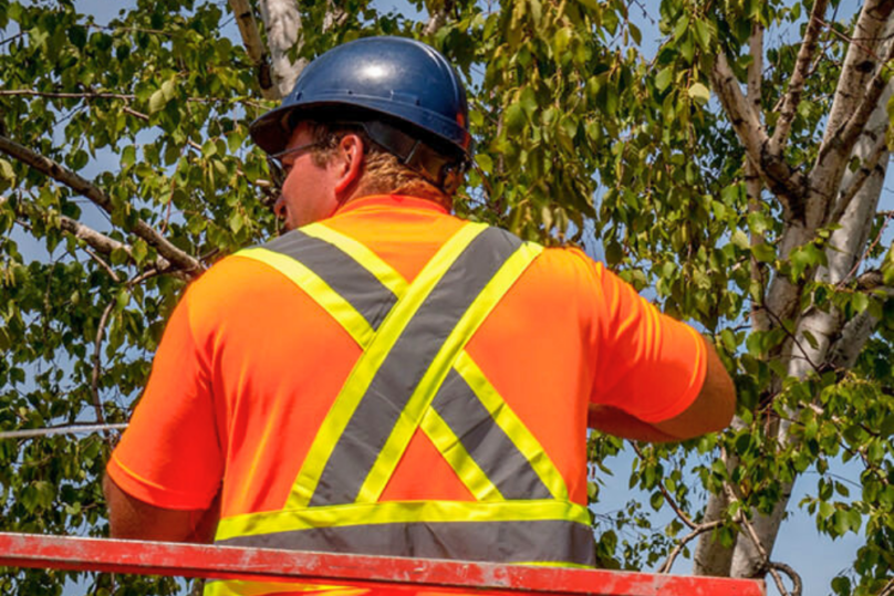 Emploi Journalier régulier saisonnier à VaudreuilDorion