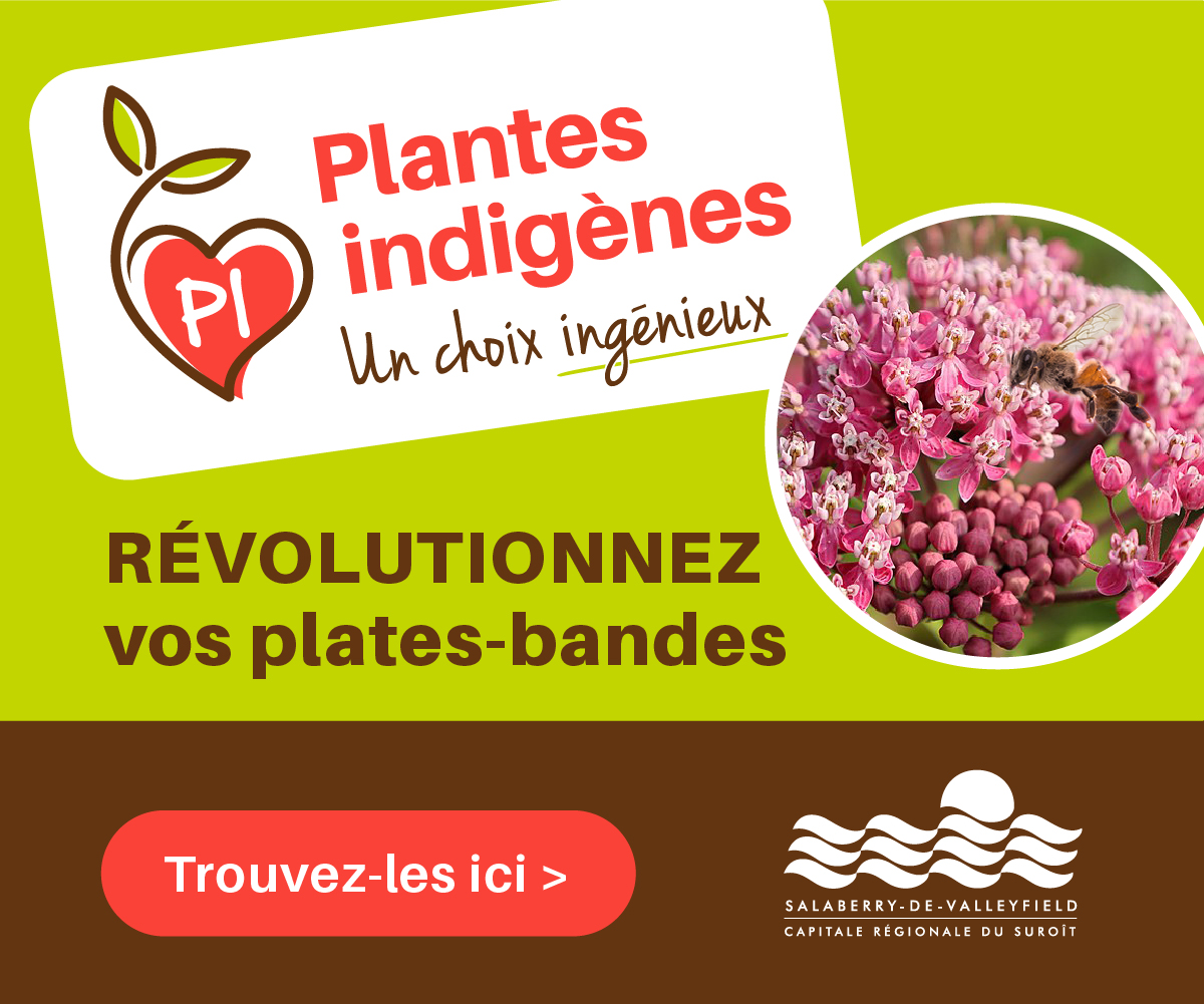 Première du film REVANCHE le 5 novembre 19 h à l’école secondaire de la